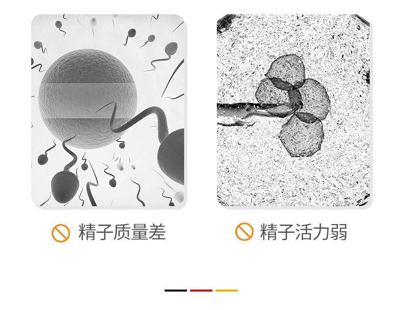 【激发精子活力 增加受孕几率】Centax Promotil M-Forte抗氧化生精冲剂 30袋/盒 深圳保税仓发货 精子质量差 精子活力弱