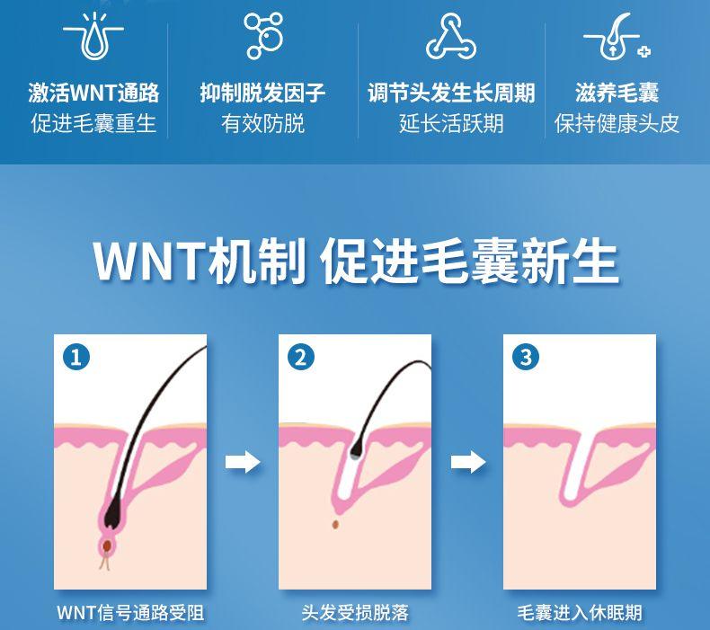 【打开生发通道】Pharcos DELTACRIN capsule 促进毛囊新生 防脱生发胶囊 60粒/盒 深圳保税仓发货 A 激活WNT通路 抑制脱发因子 调节头发生长周期 滋养毛囊 促进毛囊重生 有效防脱 延长活跃期 保持健康头皮 WNT机制促进毛囊新生 1 3 WNT信号通路受阻 头发受损脱落 毛囊进入休眠期